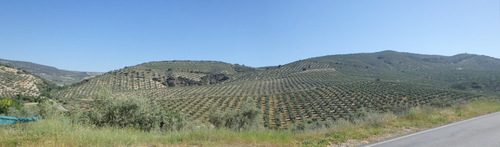 On the road to Montefrío.